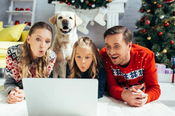 Удивленная семья смотрит фильм на ноутбуке рядом с собакой на Рождество — стоковое фото
