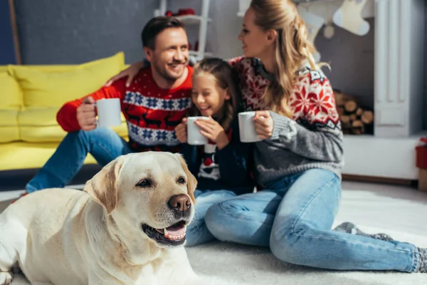 Hund in der Nähe glücklicher Familie hält Tassen auf verschwommenem Hintergrund — Stockfoto