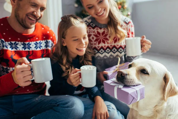 Labrador sosteniendo regalo cerca de familia alegre en suéteres con copas en las manos sobre fondo borroso - foto de stock