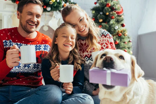 Chien tenant cadeau près de famille joyeuse dans des pulls avec des tasses dans les mains sur fond flou — Photo de stock