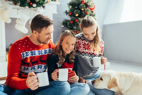 Família feliz em suéteres segurando copos perto labrador no Natal — Fotografia de Stock