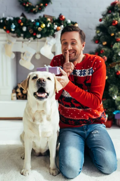 Labrador près de l'homme joyeux en pull montrant signe de silence et tout en tenant Noël présent sur fond flou — Photo de stock