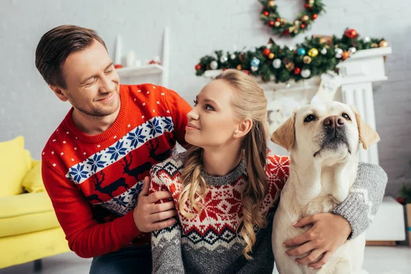 Casal feliz em camisolas de malha olhando uns para os outros perto labrador em apartamento decorado no Natal — Fotografia de Stock
