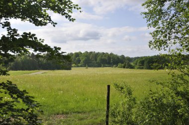 çayır kırsal İsveç'te