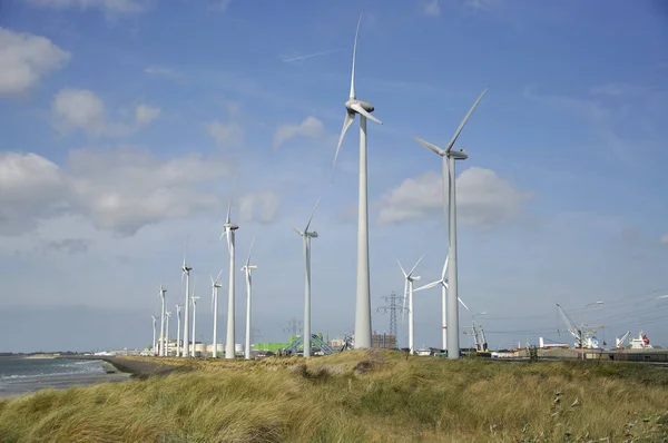 windmill farm in Zeeland