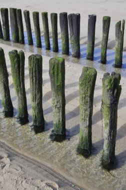 Zeeland