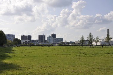 6.2. Utrecht, şehir