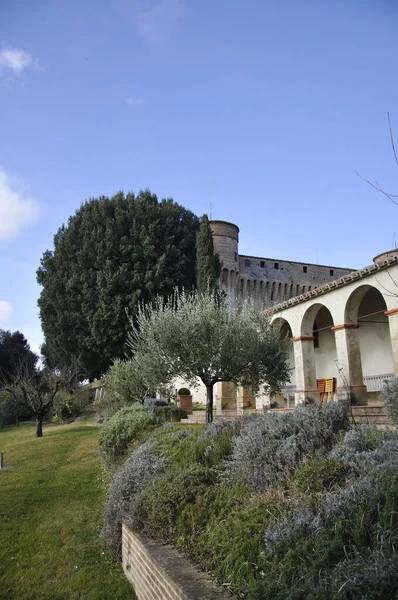 Alberi Giardino Accanto Civitella Ranieri Umbria — Foto Stock