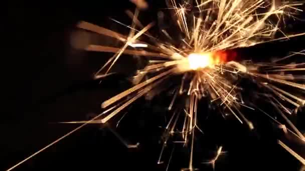 ベンガル ライト線香花火の燃焼 — ストック動画