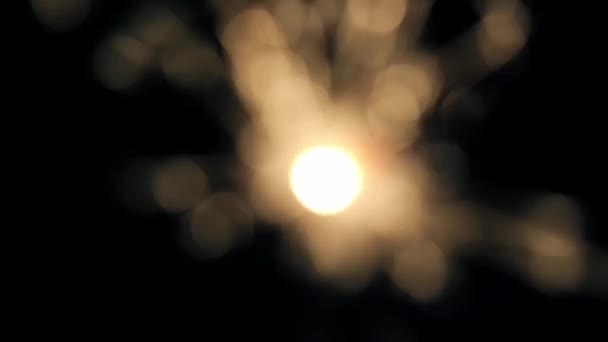 Queima Bengala Luzes Sparkler — Vídeo de Stock
