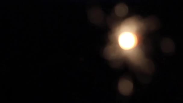 Yanan Bengal Işıklar Maytap — Stok video