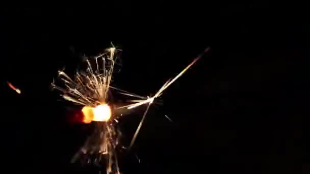 Queima Bengala Luzes Sparkler — Vídeo de Stock