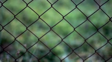Rusty Mesh çit video