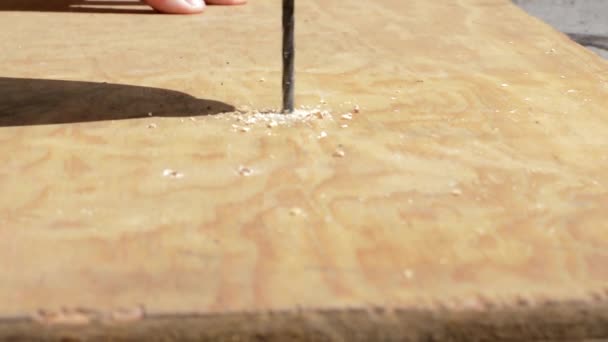 vidéo de Petit foret 