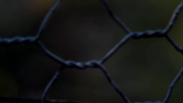 スチール メッシュ フェンスのビデオ — ストック動画