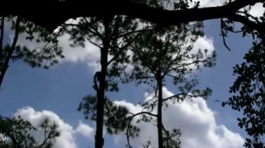 Hızlı bulutlar geçip