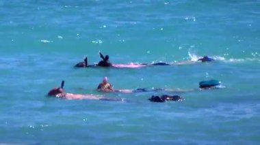 Mavi suda yüzen snorkelers