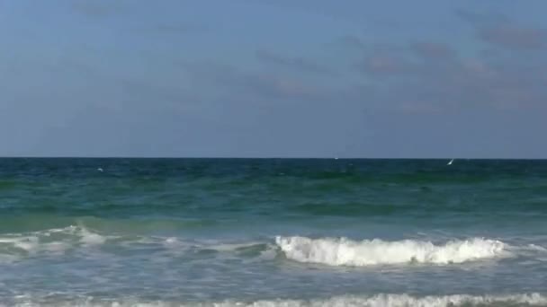 Vogels Vliegen Oceaan — Stockvideo