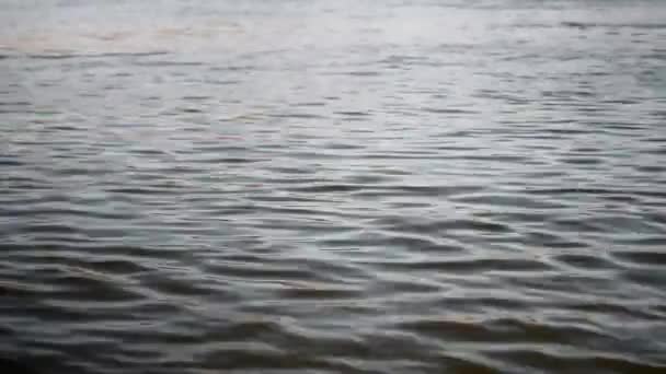 vidéo des vagues d'eau calme 