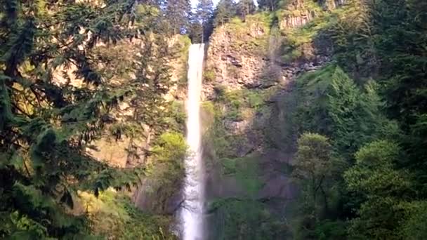 Famose Cascate Acqua Lungo Gola Del Fiume Columbia — Video Stock