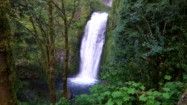 Berömda Vattenfallen Längs Columbia River Gorge — Stockvideo