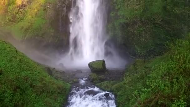 コロンビア川の峡谷に沿って有名な滝 — ストック動画