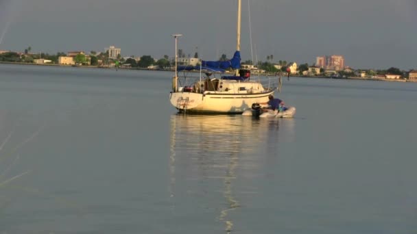 Hombre Baja Del Barco Vela Barco Más Pequeño — Vídeos de Stock