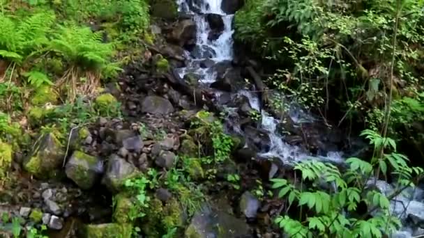 petite chute de Multnomah Falls 