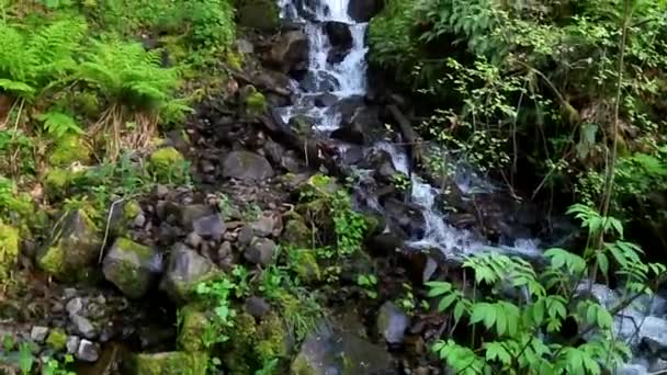 Kleine Val Van Multnomah Falls — Stockvideo