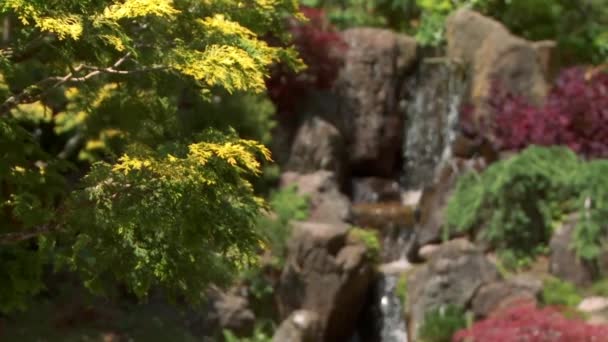 Маленький Водопад Парке — стоковое видео