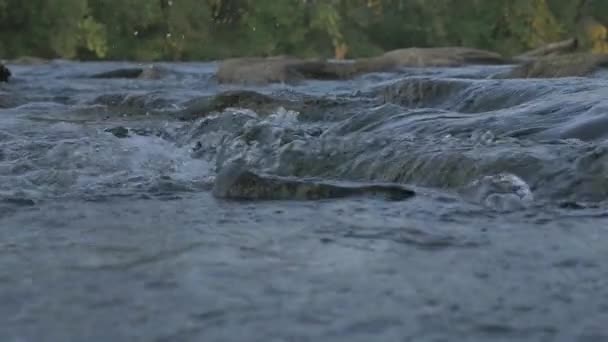 Wasser Einem Fluss — Stockvideo