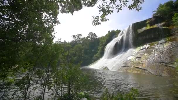 Waterval Een Jungle — Stockvideo