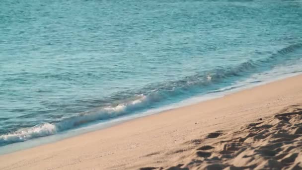 Olas Rompiendo Una Playa — Vídeo de stock