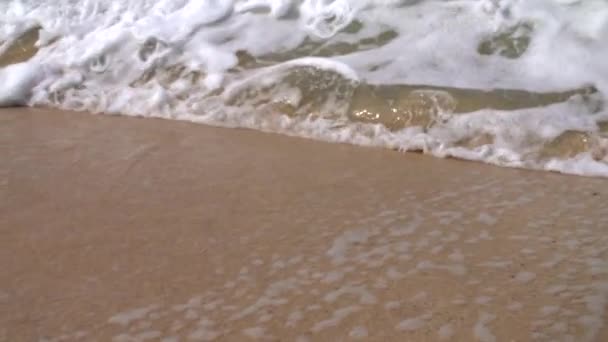 Ondas Batendo Uma Praia — Vídeo de Stock