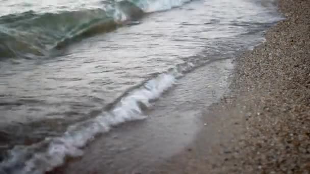 Κύματα Που Σκάνε Μια Παραλία — Αρχείο Βίντεο