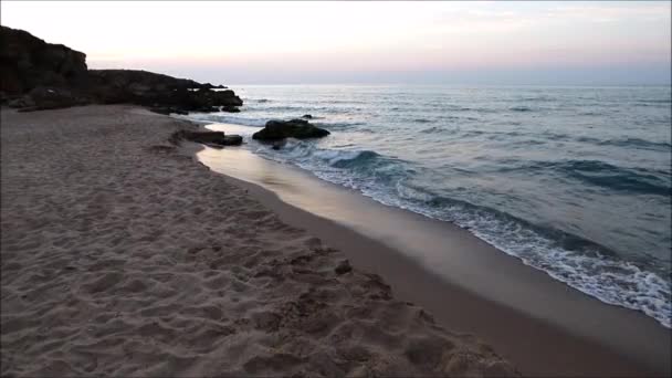 Grande Tiro Uma Praia Crepúsculo — Vídeo de Stock