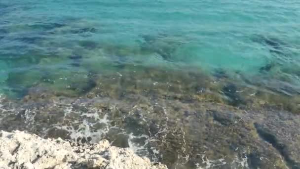 Geniş Mavi Kıyı Reef Atış — Stok video