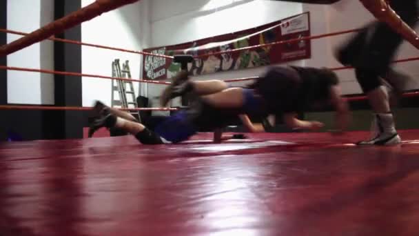 Vídeo Wrestling Doble Split — Vídeo de Stock