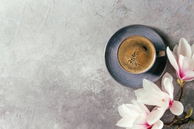 Siyah espresso kahve mavi ve gri doku arka plan üzerinde çiçekler Manolya dalları bahar. Görünümü en çok, uzay kopyalayın. Bahar tebrik kartı, duvar kağıtları