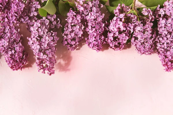 Primavera Púrpura Lila Ramas Florecientes Sobre Fondo Pastel Rosa Tarjeta —  Fotos de Stock