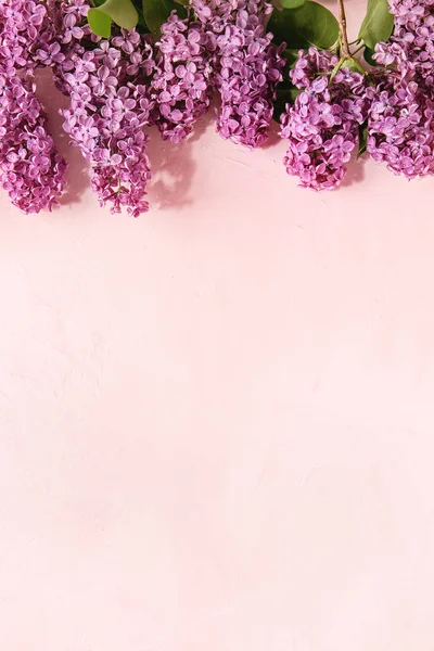 Spring Purple Lilac Blooming Branches Pink Pastel Background Holiday Wedding — Stock Photo, Image