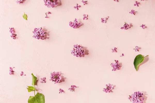 Primavera Flores Lila Púrpura Sobre Fondo Pastel Rosa Tarjeta Felicitación —  Fotos de Stock