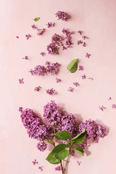 Primavera Púrpura Lila Ramas Florecientes Sobre Fondo Pastel Rosa Tarjeta —  Fotos de Stock