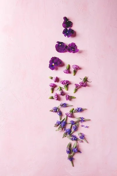 Wiele Fioletowe Kwiaty Jadalne Danie Dekorowanie Różowym Tle Pastel Widok — Zdjęcie stockowe