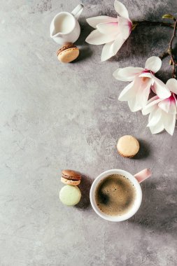 Pembe kupa siyah espresso kahve Fransız tatlı macaroons krem ve bahar çiçek Manolya dalları gri doku arka plan üzerinde. Üstten görünüm alanı. Bahar tebrik kartı