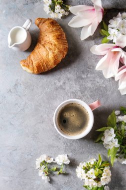 Siyah espresso kahve bir fincan pembe, kruvasan, krema ve bahar çiçekleri Manolya, çiçeklenme kiraz dallar gri doku arka plan üzerinde Fransız. Üstten Görünüm alanı. Bahar tebrik kartı