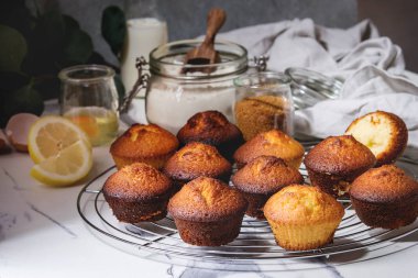 Taze ev yapımı limonlu kek kek okaliptüs şube ve malzemeler yukarıda beyaz mermer mutfak masasının üzerinde soğutma ayakta pişmiş.