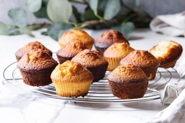 Bolos Limão Caseiros Assados Frescos Muffins Rack Refrigeração Com Ramo — Fotografia de Stock