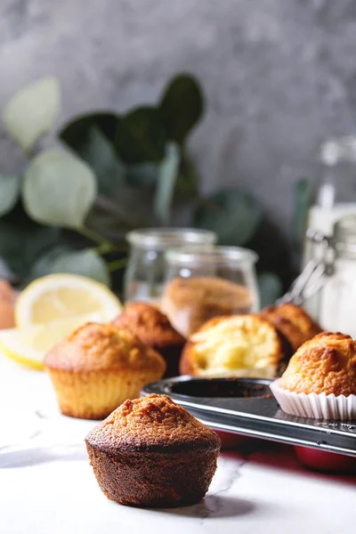 Bolos Limão Caseiros Frescos Assados Muffins Assadeira Com Ramo Eucalipto — Fotografia de Stock