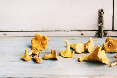 Mavi Beyaz ahşap mutfak masasında çiğ çiğ Chanterelles orman mantar. Rustik tarzı, gün ışığı, uzay kopyalayın. Yakın çekim